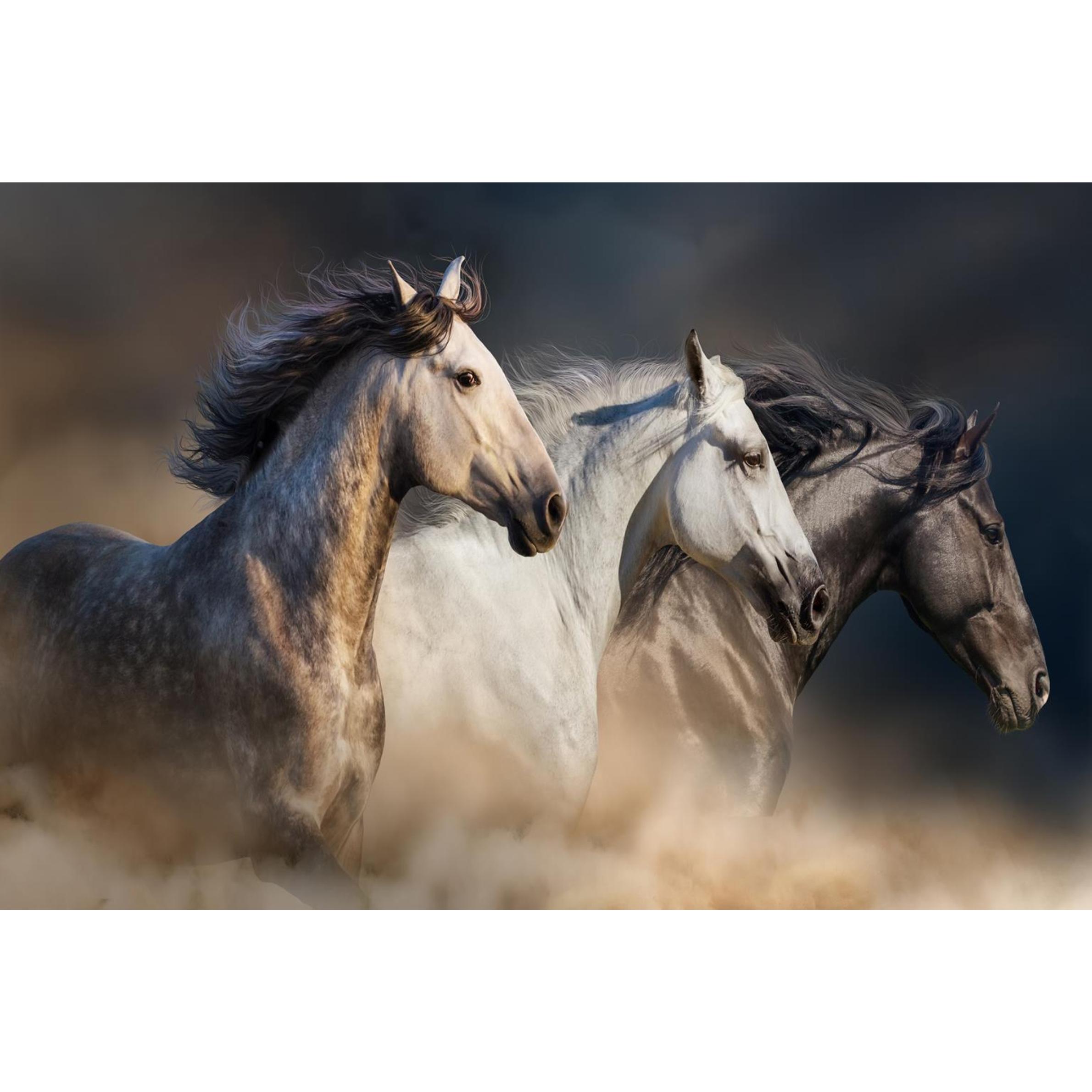 Wild Stallion Trio Wall Art | SF1376