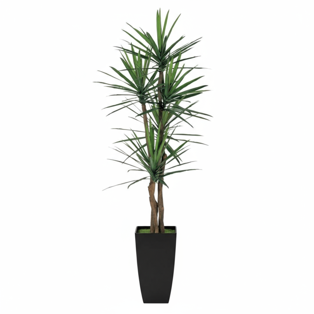 VP312A25 7' Yucca Tree Plant